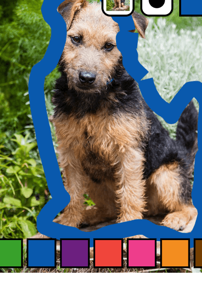 Canine Drawing Workshop