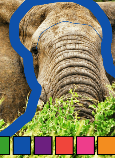 Pachyderm Sketch Workshop