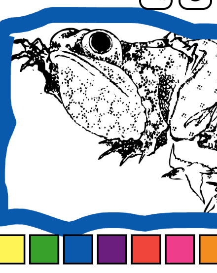 Japanese-Inspired Sketches