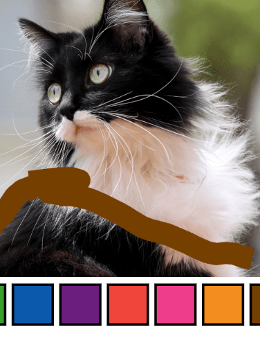 Cat Drawing Workshop